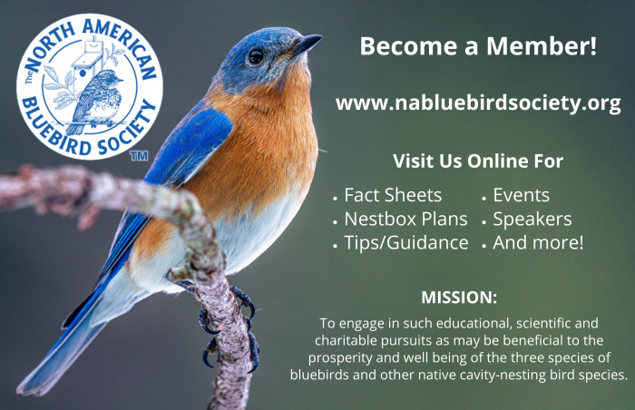 NABS - Membership ad